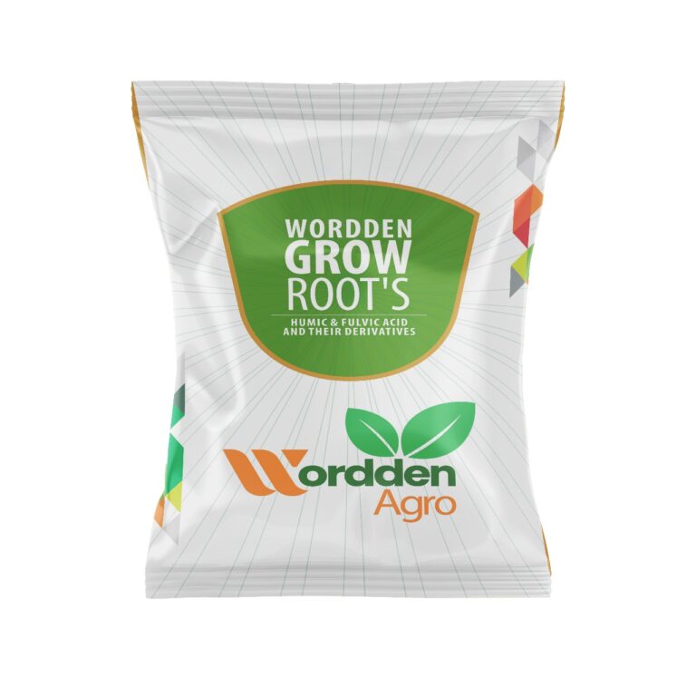 Wordden Grow Roots