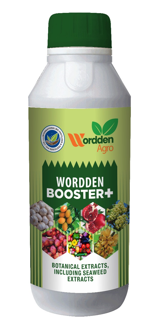 Wordden Booster+
