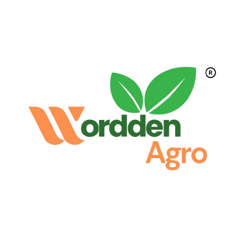 Wordden Logo